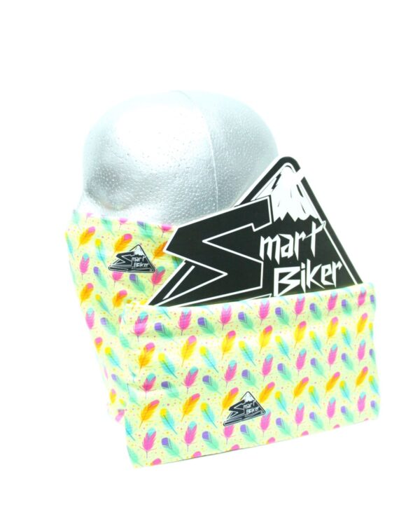 CUELLO LARGO PLUMAS MULTICOLOR